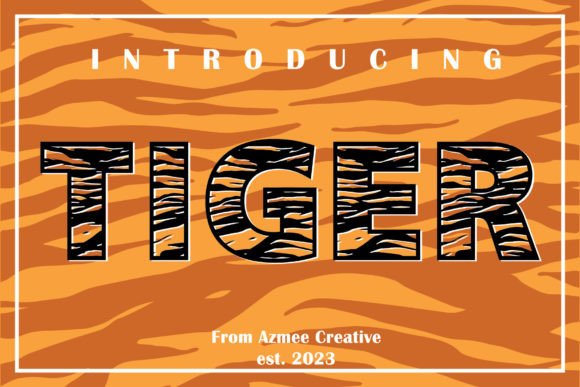 Tiger Display: A Designer’s Practical Review